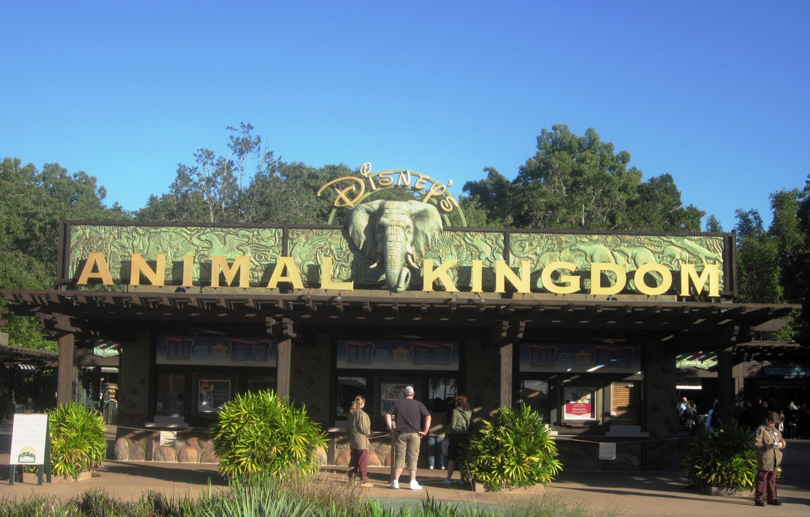 animal kingdon