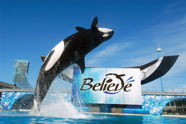 sea world & aquatica